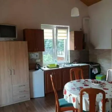 U Dorki Apartment *